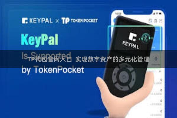 TP钱包官网入口  实现数字资产的多元化管理